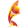 Women's Euro